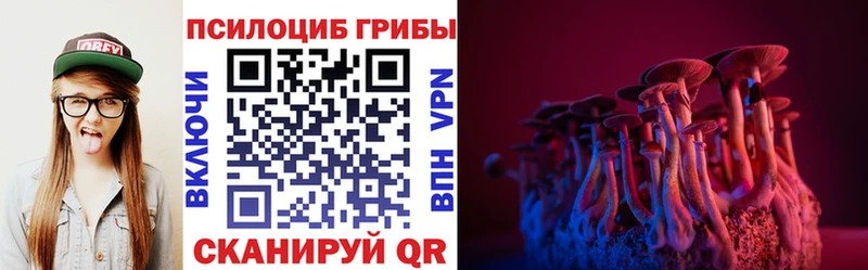 площадка состав  Унеча  Псилоцибиновые грибы Cubensis 